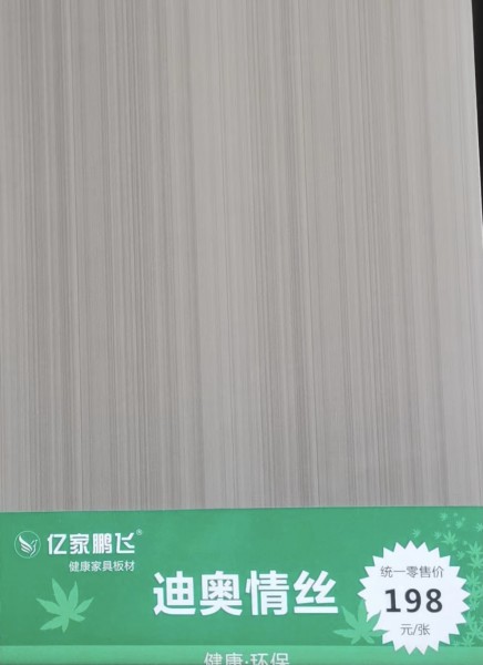 濟(jì)寧迪奧情絲億家鵬飛